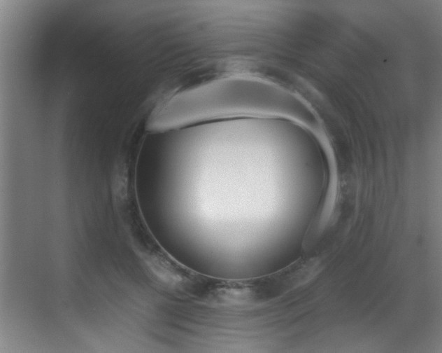 X0000070410552200606090958