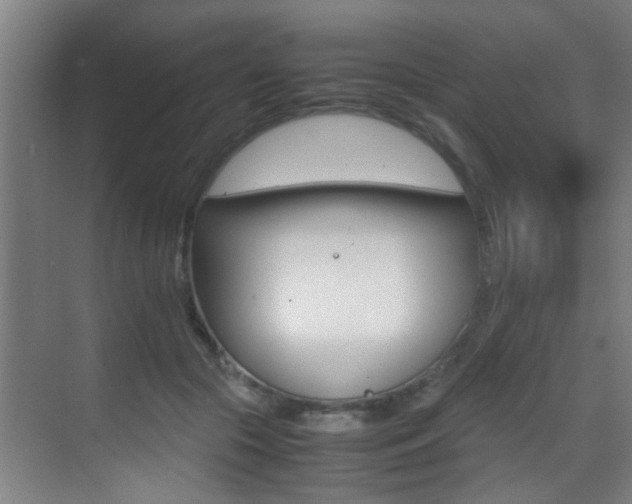 X0000070410553200606090958