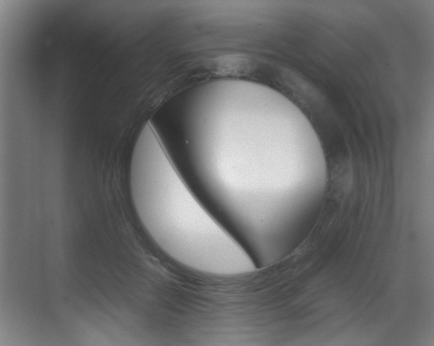 X0000070410554200606090958