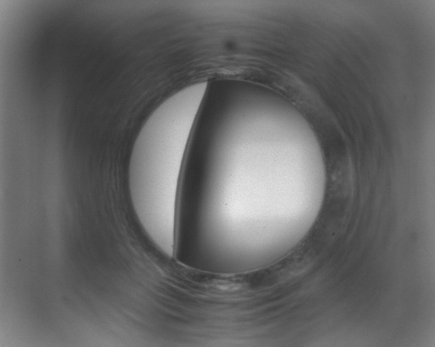 X0000070410555200606090958