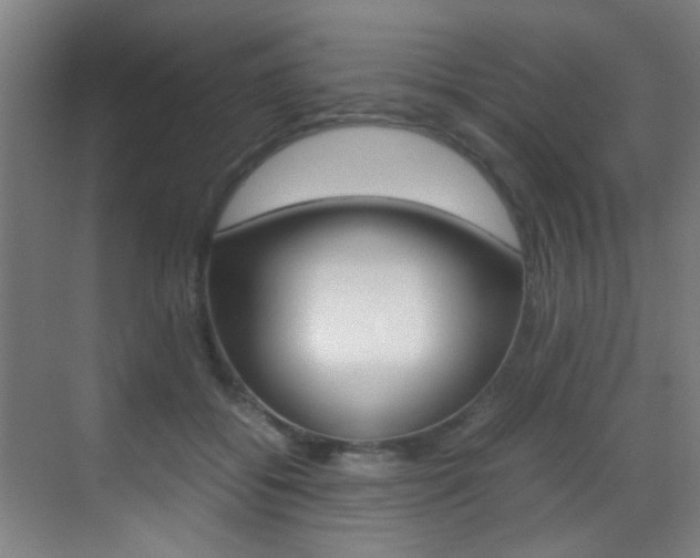 X0000070410556200606090958