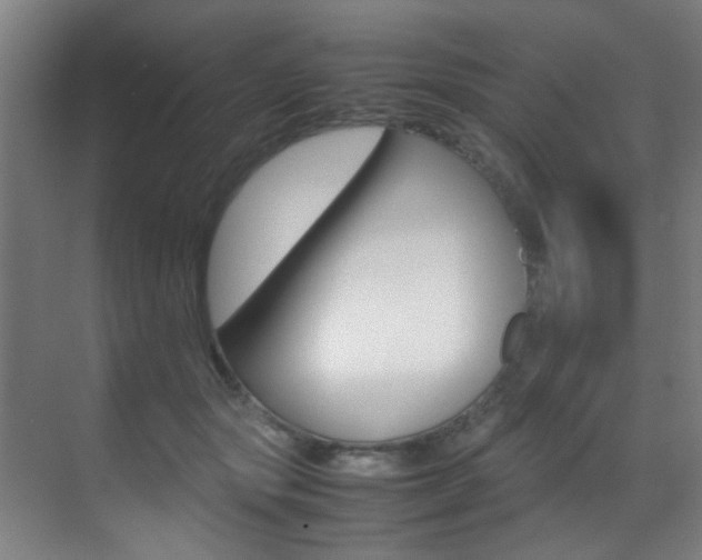 X0000070410557200606090958