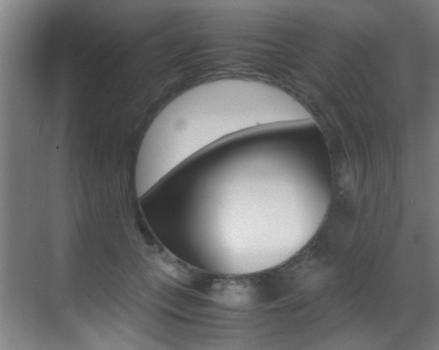 X0000070410559200606090958