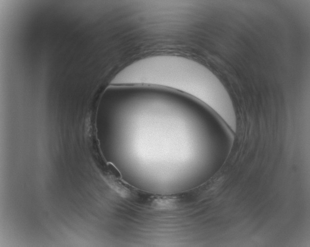 X0000070410560200606090958