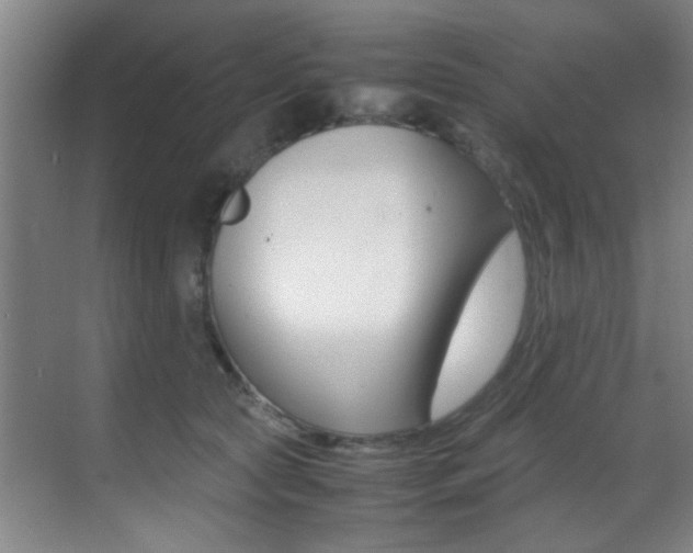 X0000070410561200606090958