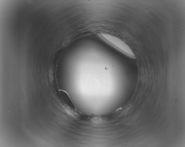 X0000070410562200606090958