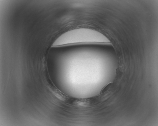 X0000070410563200606090958