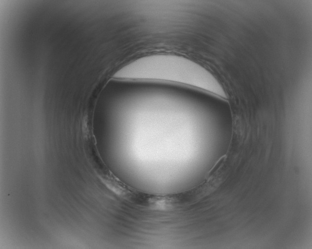 X0000070410564200606090958