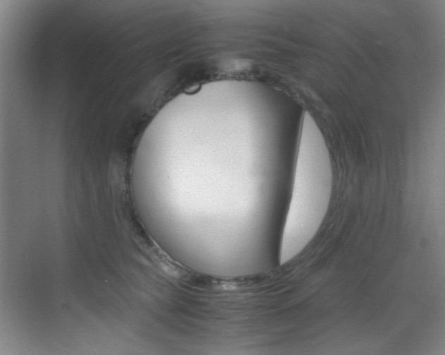 X0000070410565200606090958