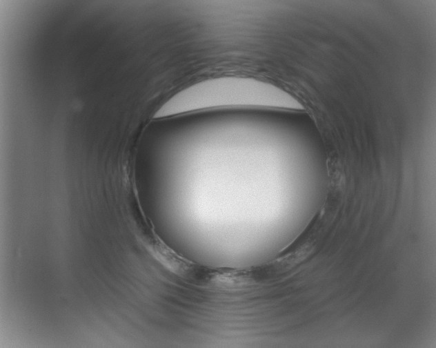 X0000070410568200606090958