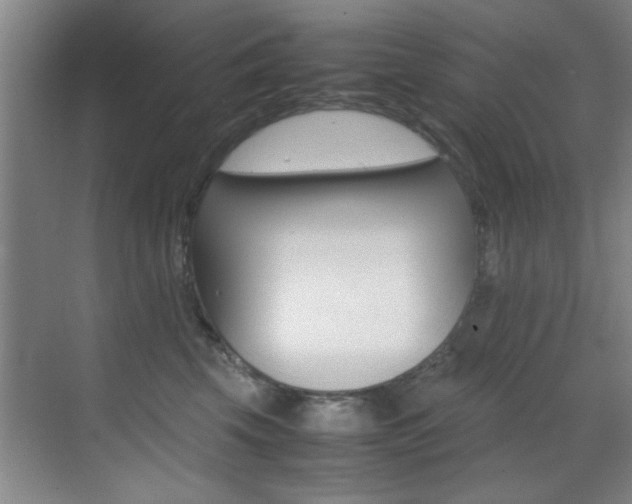 X0000070410569200606090958