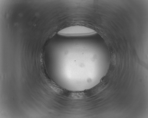 X0000070410571200606090958