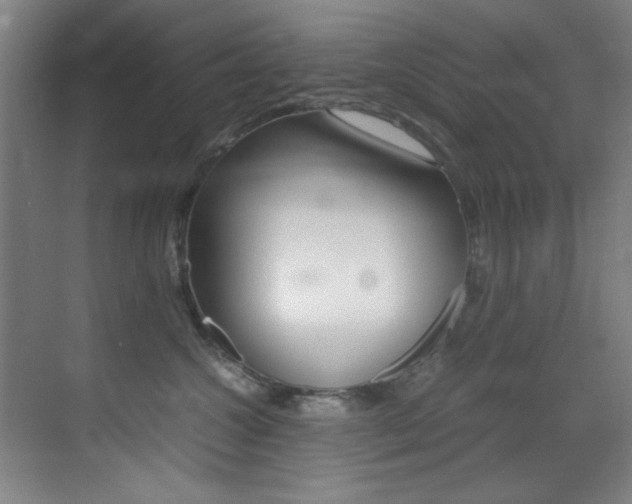 X0000070410572200606090958