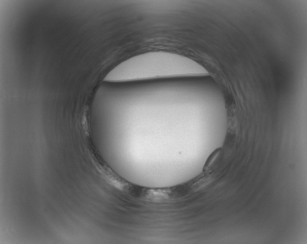 X0000070410573200606090958