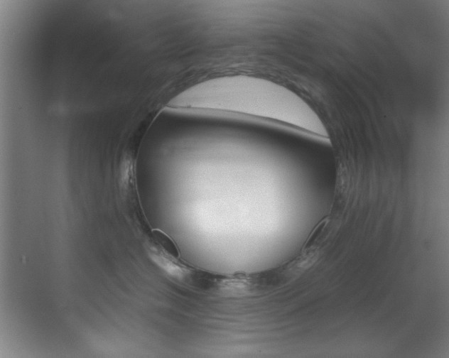 X0000070410574200606090958