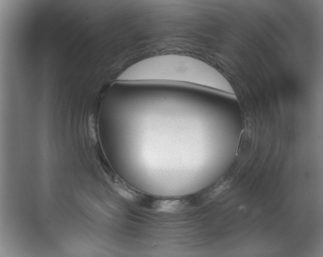 X0000070410575200606090958