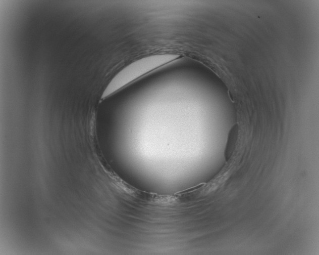 X0000070410576200606090958