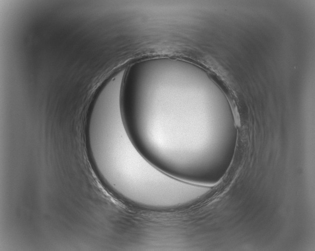 X0000070410577200606090958