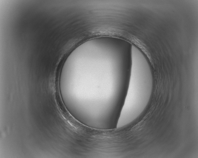 X0000070410578200606090958