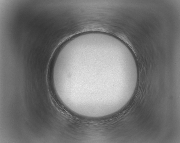 X0000070410579200606090958