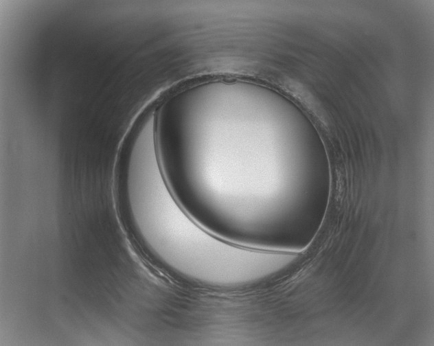 X0000070410580200606090958