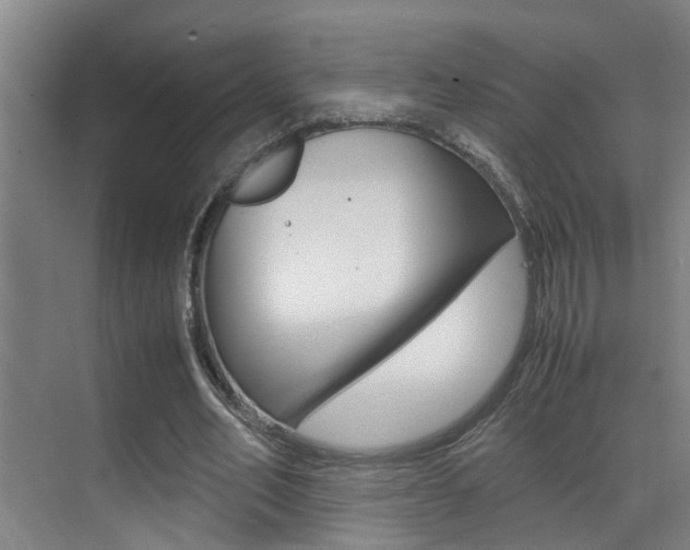 X0000070410582200606090958