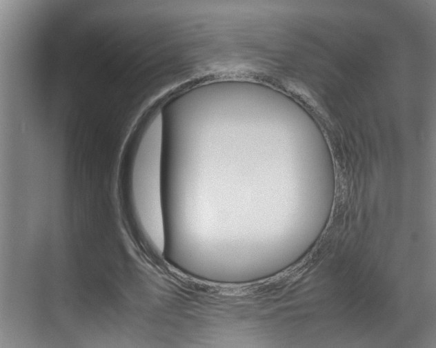 X0000070410583200606090958