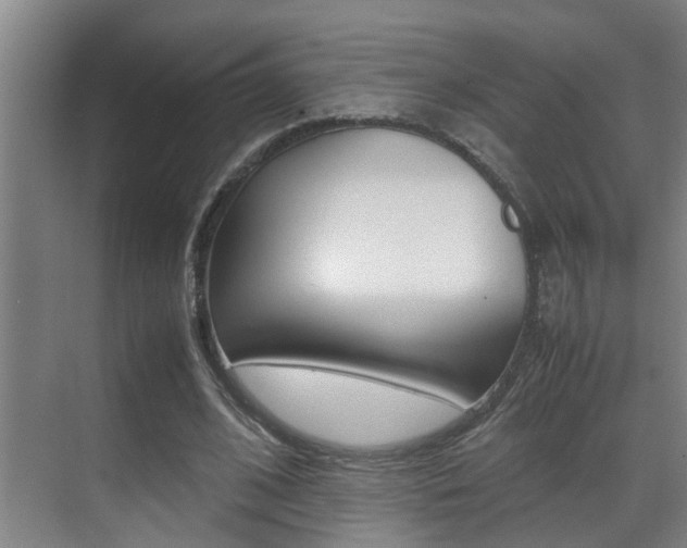 X0000070410584200606090958