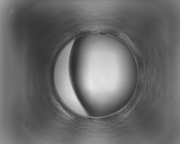 X0000070410585200606090958