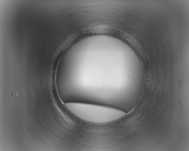 X0000070410586200606090958