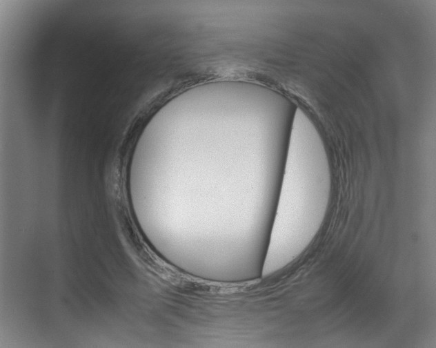 X0000070410587200606090958