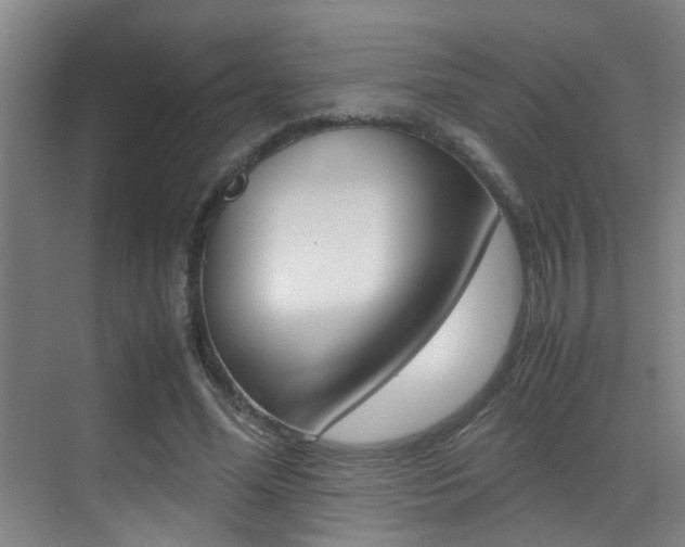 X0000070410588200606090957