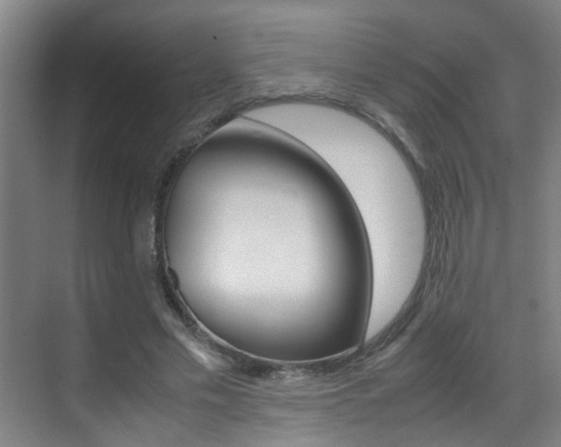 X0000070410589200606090957