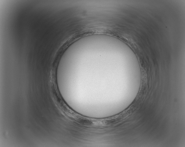 X0000070410591200606090957