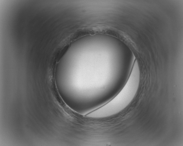 X0000070410593200606090957