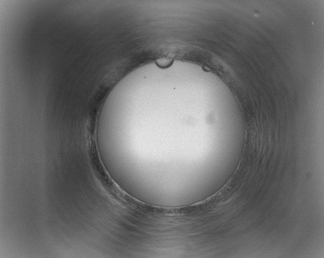 X0000070410594200606090957