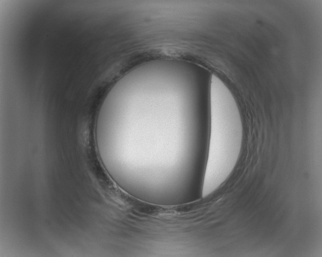 X0000070410595200606090957