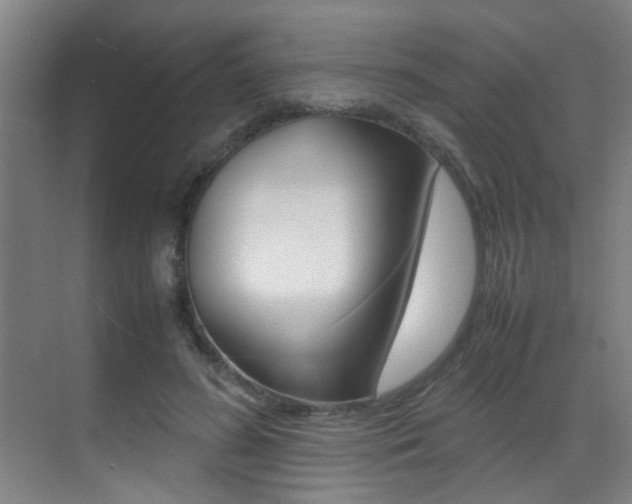 X0000070410596200606090957