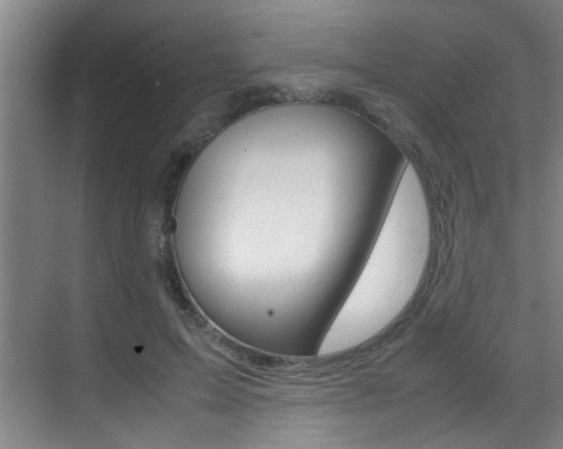 X0000070410599200606090957