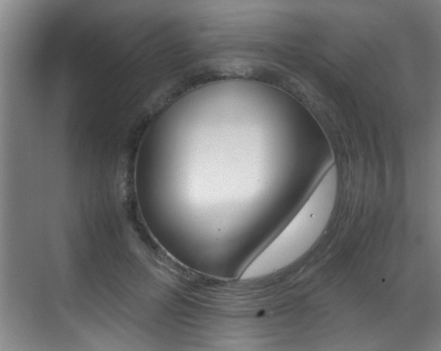 X0000070410600200606090957