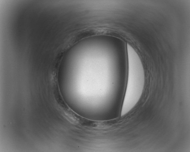 X0000070410601200606090957