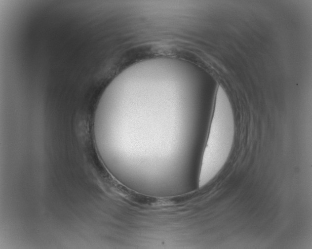 X0000070410603200606090957