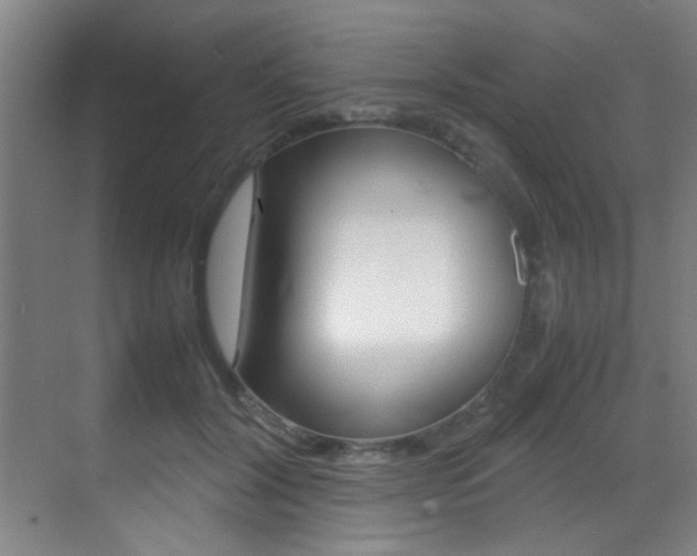 X0000070410604200606090957