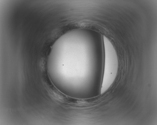 X0000070410605200606090957