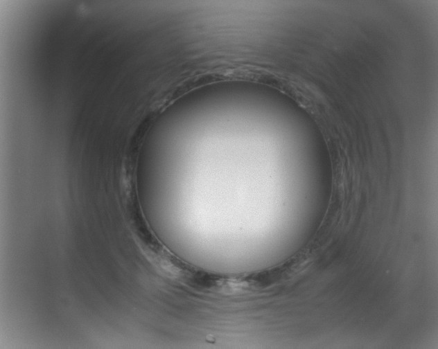 X0000070410607200606090957