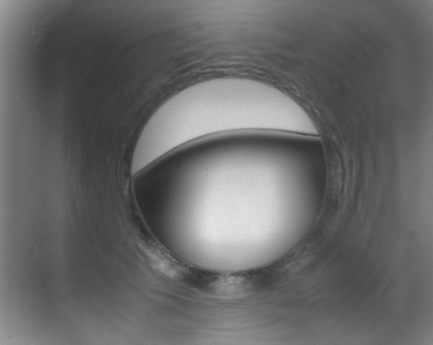 X0000070410609200606090957