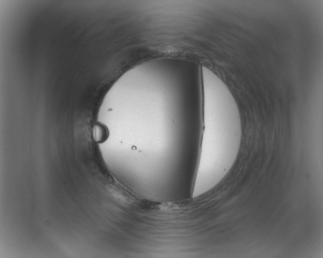 X0000070410612200606090957