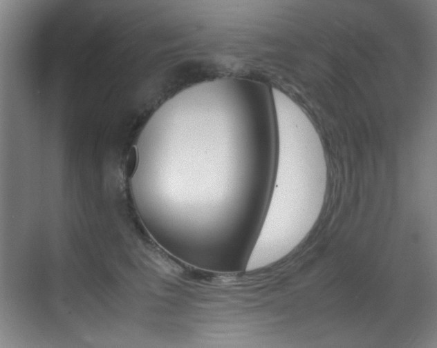 X0000070410613200606090957