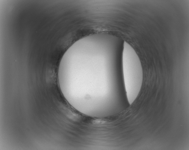 X0000070410614200606090957