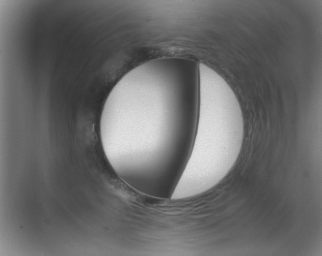 X0000070410615200606090957